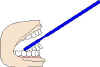 DNTCARE2.jpg (12184 bytes)