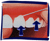 floss_c.gif (11982 bytes)
